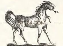 ANIMAL_0198